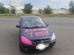 Любвеобильный романтик изрисовал розовой краской иномарку на Ставрополье 