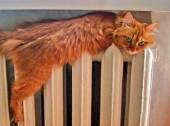 В Ставрополе 21 октября включат отопление