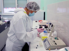 В Ставрополе откроют лабораторию по изучению штаммов CoVID-19