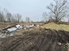 На крупной тюльпановой ферме в Ставропольском крае нашли свалку из луковиц цветов и шифера