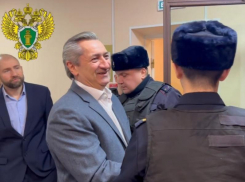 Дом бывшего вице-премьера Башкирии на 900 квадратных метров в Кисловодске требует вернуть государству Генпрокуратура