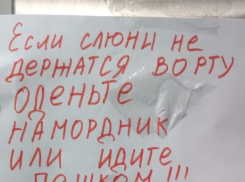 «Подумайте о переезде в свинарник!», - житель Ставрополя соседям