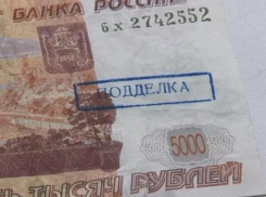 Операция по выявлению фальшивых денег проводится в Ставрополе