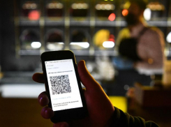 На Ставрополье вновь продлили мораторий на использование QR-кодов до 1 марта
