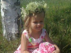 Похищенную экс-супругом четырехлетнюю ставропольчанку вернули матери в Астрахани