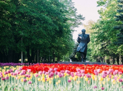 До +25 и без осадков обещают синоптики 22 мая на Ставрополье