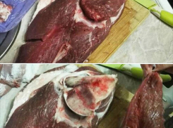 В Пятигорске мужчине вместо мяса продали замаскированную кость