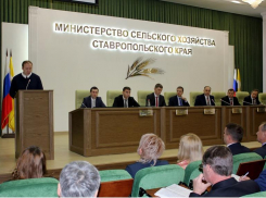 Минсельхоз Ставрополья наградит аграриев канцелярией на 300 тысяч рублей