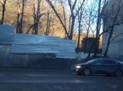 В Кисловодске год экологии начинают с вырубки деревьев