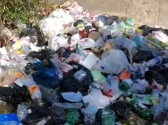 Территория Нового озера в Кисловодске превращается в мусорную свалку