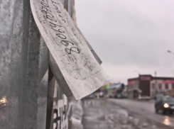 Какими услугами в объявлениях пользуются ставропольчане