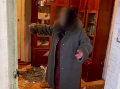 В Ставрополе хотят собрать деньги для хозяйки собак, растерзавших 9-летнюю девочку