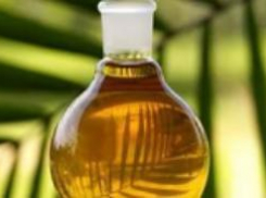 Борьба с пальмовым маслом на Ставрополье ужесточается