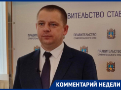 Как ставропольцам подготовить питомца к поездке за границу, рассказали в управлении ветеринарии