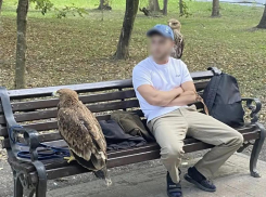Орлов забрали у организаторов платных фотосессий в Курортном парке Ессентуков