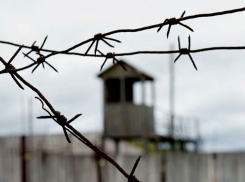 Глава колонии подозревается в сокрытии доходов на Ставрополье