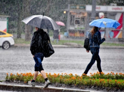 Прохладная и дождливая погода может затянуться до конца мая в Ставрополе