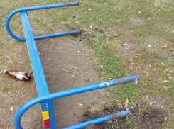 На Ставрополье вандалы разгромили две детские площадки