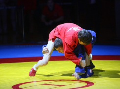 Ставропольские самбисты пополнили копилку трофеев в Чечне