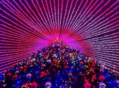 Ставрополье встретило 2026 год авариями и рекордом: итоги новогодней ночи