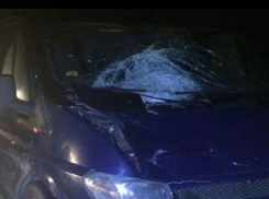 При обгоне на ночной трассе микроавтобус сбил насмерть пешехода в Ставропольском крае