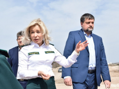 «Решение суда должно быть исполнено»: глава Росприроднадзора РФ не поддержала проект Кавминводского велотерренкура