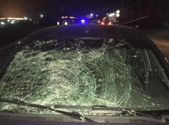 Автомобилист на Ставрополье сбил трех пешеходов