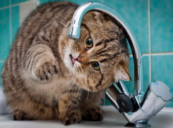 В центре города 31 августа будет временно прекращена подача воды