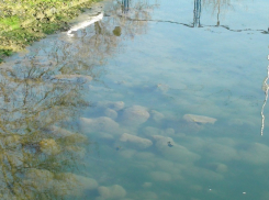 Нетрезвый мужчина утонул на Ставрополье