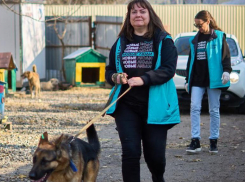 Партия «Новые люди» и фонд «Экосфера» подготовили к зиме приют «Лучший друг»
