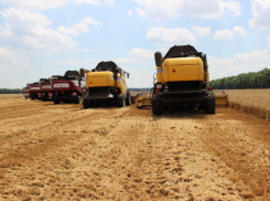 За 2021 год ставропольские аграрии получили порядка 20 миллиардов рублей льготных кредитов