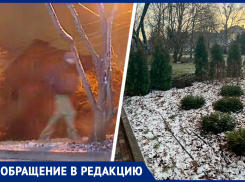 Ночного воришку туй ищут в Ставрополе за солидное вознаграждение