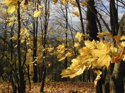 Теплая и солнечная погода ожидает ставропольчан в воскресенье