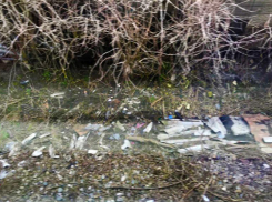 На въезде в Ставрополь гостей краевого центра встречают восемь километров мусора