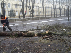  На ликвидацию последствий урагана в Ставрополе могут выделить деньги из краевого бюджета 