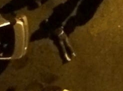 Молодой мужчина выпал из окна многоэтажки в Ставрополе