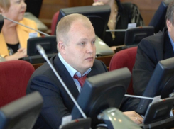 Доход депутата Думы Ставропольского края Василия Афанасова за прошлый год составил 24,5 миллиона рублей