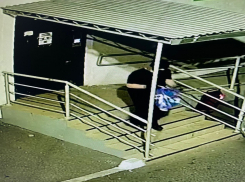 Жителя Ставропольского края осудили на 12 лет за участие в террористической организации