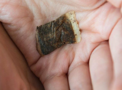 Несмотря на запрет правительства, на Ставрополье продолжается продажа снюса 