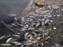 В Иноземцево озеро Каррас отравлено канализационными водами