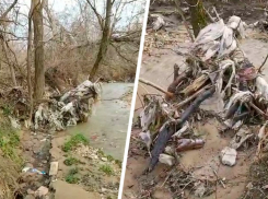 Осадок остался: мусора в русле Мамайки не убавилось после уборки властями Ставрополя