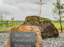  Необычный арт-объект украсил невинномысский парк Победы