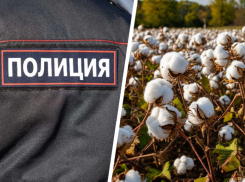 Ставропольский «хлопковый король» Алибек Шебзухов объявлен в международный розыск