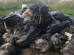 На камеры видеонаблюдения попали мусорные нарушители Новопавловска