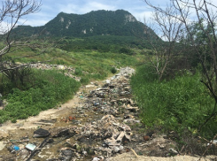 Администрацию Железноводска оштрафовали за порчу почвы на 2,5 миллиона рублей