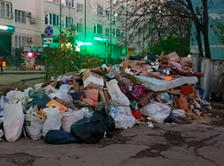 Гигантские мусорные свалки растут на улицах Пятигорска