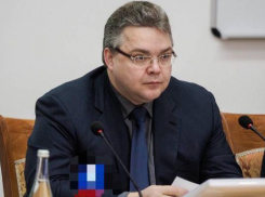 Общественники назвали поправки губернатора Ставрополья в закон «жирных котов» весенним обострением