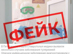 Фейк о распространении туляремии опровергли на Ставрополье