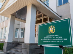 Обыски по делу об уничтожении почвы на 48 миллиардов провели в двух ведомствах Ставрополья
