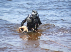 Пропавший на Ставрополье 5-летний мальчик пошел купаться и утонул в реке